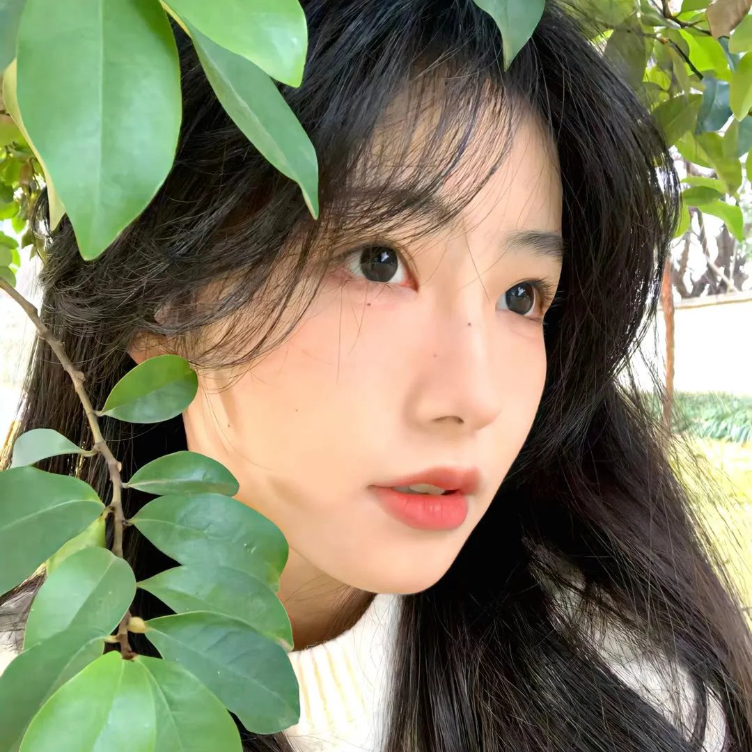 伊莎贝尔